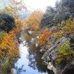yazili