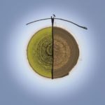 Magyar fotós sikere egy İzmirben rendezett nemzetközi fotópályázaton