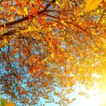 beautiful_autumn_landscape_6-wallpaper-3440×1440
