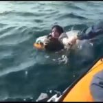 elsulyedo hajo menekultek