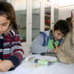 Tarçın cica lett egy amasyai általános iskola 257. diákja