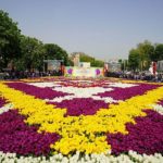 sultanahmete-1460-metrekarelik-lale-hali-8897e245cc0f-12