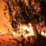 645×344-massive-blaze-threatens-residential-areas-in-turkeys-mugla-1562789512297