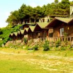 sile-woody-ville-b5c5d13472