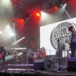 Sziget’e The Ringo Jets damgası