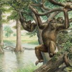 10 Milyon Yıllık Fosil, İnsan Evrimine Yeni Bakış Sunuyor