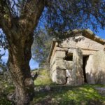 picture-perfect-gerga