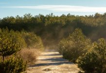 Vasárnapi utazások: Három évszak két nap alatt – kirándulás a Spil lejtőin