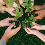 pexels-anna-shvets-5029853