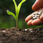 Török kézre kerül az egyetlen horvát műtrágyagyár, közvetetten a Mol is érintett az üzletben