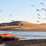 Előrejelezhették a madarak a törökországi földrengést