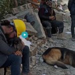 Nyolc óráig bontották a romokat, hogy a négyéves kisfiút megmentsék – megrázó dokumentumfilmen a török földrengés túlélői után kutató magyar mentőcsapat egy napja