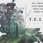 Nemzetközi toplistás lett a T.E.L.D. lemez