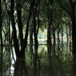 Többen életüket vesztették a heves esőzések okozta áradásokban Görögországban, Törökországban és Bulgáriában