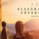 elszaradt filmes estek