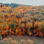 pexels-bayraktarserkan-8045465