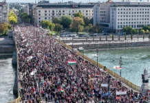 Macaristan seçimlere hazırlanıyor: Orban ve Magyar destekçileri karşı karşıya