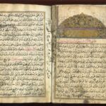 559919121_1263226645846999_2610770918527031636_n