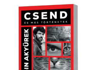 Engin Akyürek: Csend