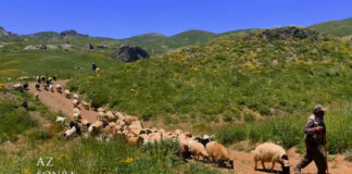 Hakkari Halkının Misafirperverliği ve Yaylacıların Günlük Yaşamı