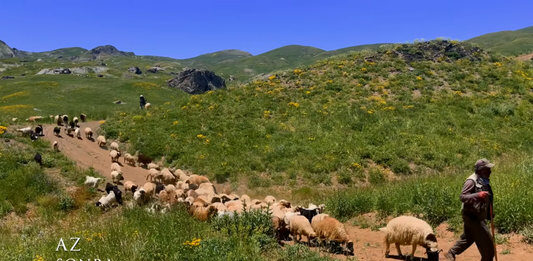 Hakkari Halkının Misafirperverliği ve Yaylacıların Günlük Yaşamı