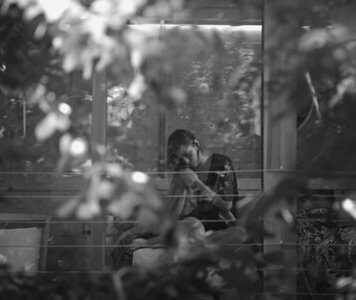 Honeybeast – Cirkusz