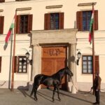 Magyar lovak török földön