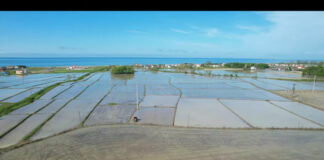 SAMSUN | HİÇ BÖYLE GÖRMEDİNİZ