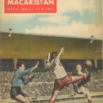 1354741974_kgrhqrlofck8j6yitbqv5igobtg60_57