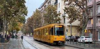 Haritamdaki Budapeşte VII : Mester utca