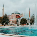 pexels-selimdersiniz-10993607