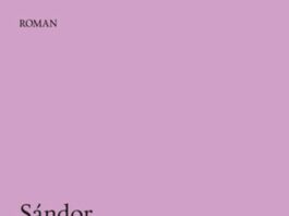 Roman kahramanı olarak bir “zevk ve tutku adamı”