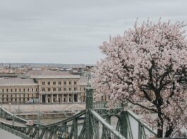 ‘Macaristan üniversiteleri Türk öğrenciler için Avrupa’nın eğitim ve kariyer üssü haline geldi’