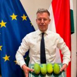 Macaristan: Orban döneminin yandaş medyasında belirsizlik