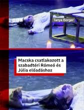 Egy macska csatlakozott a színészekhez a Rómeó és Júlia drámai végjelenete közepette a törökországi Izmirben.