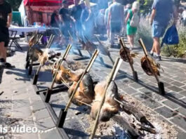 Hungary’s Largest Food Festival Magyar Ízek Utcája