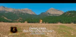 Yayla Yolarinda Goc Kater Kater